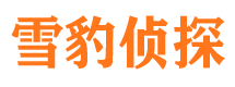 曲江市场调查